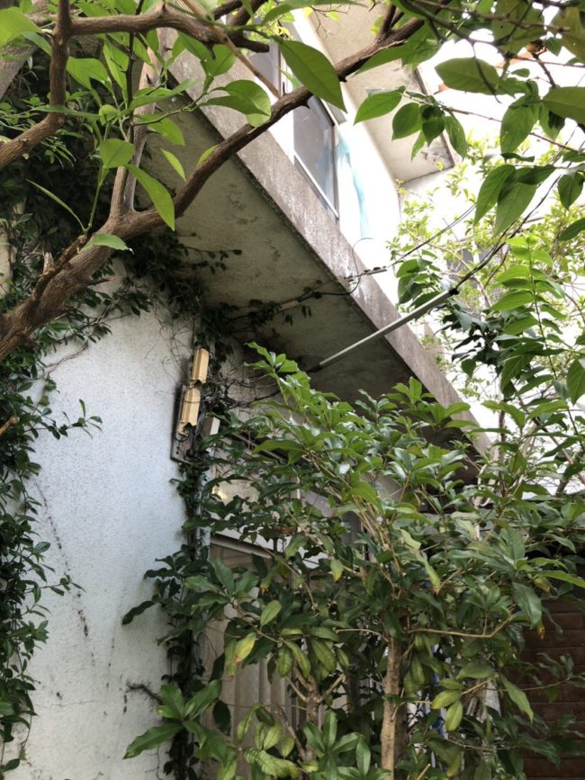 山陽小野田市北竜王町の人力解体現場