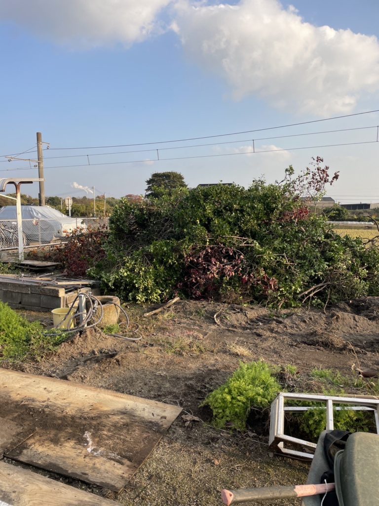 宇部市で伐採なら株式会社ブラスト