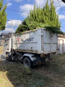 宇部市で伐採なら株式会社ブラスト