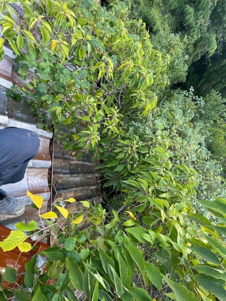 宇部　解体工事瓦剥ぎの様子